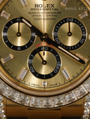 Daytona 126538TBR