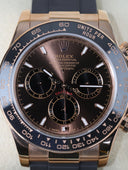 Daytona 126515 Chocolate Brown