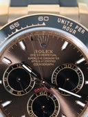 Daytona 126515 Chocolate Brown