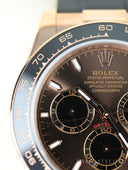 Daytona 126515 Chocolate Brown
