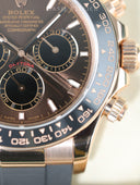 Daytona 126515 Chocolate Brown